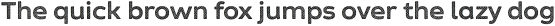 Zing Sans Rust Bold Base 