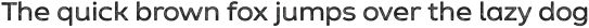 Zing Sans Rust Semibold Base Line Diagonals otf (600)