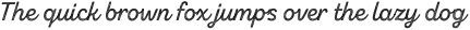 Zing Script Rust SemiBold Base Line Diagonals otf (600)