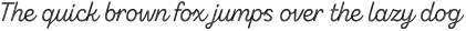 Zing Script Rust Regular Base Line Diagonals otf (400)