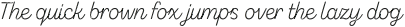 Zing Script Rust Light Base Grunge otf (300)