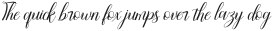 Attention Script Bold Regular otf (700)