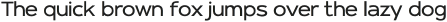 Port City Sans Light otf (300)