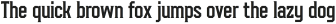 Fanatix Light otf (300)