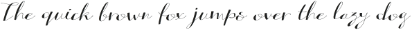 Alterscript Extended Italic otf (400)