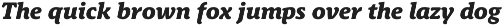 SchussNewsProHeavyIta No.30 (1 Font) preview