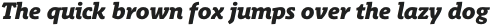 Schuss Slab Pro Heavy Italic otf (800)