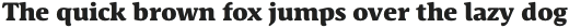 Schuss Serif Pro Heavy otf (800)