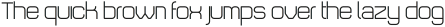 Animus Light otf (300)