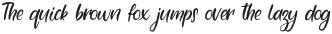 Munigva Regular otf (400)