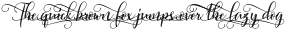 Sweitenia Rough Slanted ttf (400)
