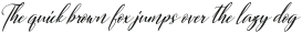 Sweitenia Rough Slant otf (400)