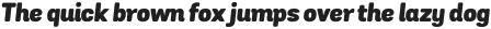 Grota Sans Rd Black Italic otf (900)