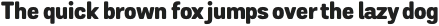 Grota Sans Rd Heavy otf (800)