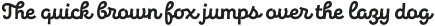 New Jonesy Latin Rough Script otf (400)