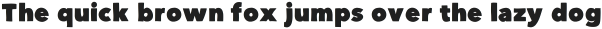 DSChunkster ttf (400)