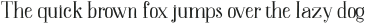 Newcraft Serif otf (400)