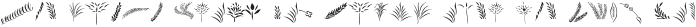 Qamila Swash otf (400)