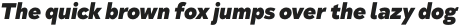 Taro Heavy Italic otf (800)