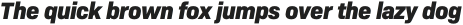Bio Sans ExtraBold Italic otf (700)
