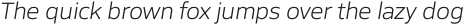 Siro Light Italic otf (300)