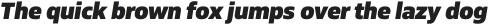 Siro Heavy Italic otf (800)