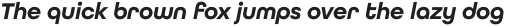 All Round Gothic Demi Oblique otf (400)