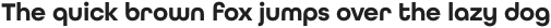All Round Gothic Medium Oblique otf (500)