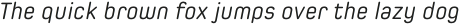Spoon Regular Italic otf (400)
