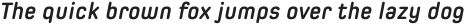 Spoon Bold Italic otf (700)