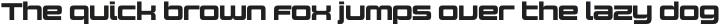 Design System C 900R otf (900)