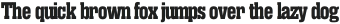 Rama Slab E Bold otf (700)