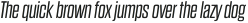 Dharma Gothic E Light Italic otf (300)