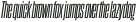 Dharma Gothic C Regular Italic otf (400)
