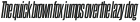 Dharma Gothic C Bold Italic otf (700)