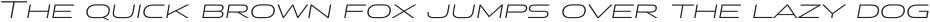 Stereo Gothic 250 Italic otf (400)