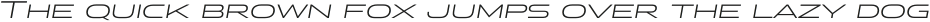 Stereo Gothic 300 Italic otf (300)