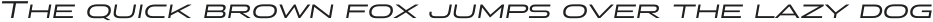 Stereo Gothic 450 Italic otf (400)
