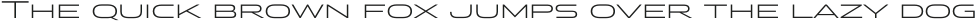 Stereo Gothic 300 otf (300)