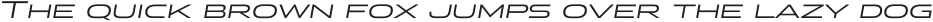Stereo Gothic 400 Italic otf (400)