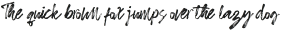 Almirra Script Regular otf (400)