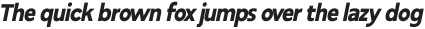 RNDI Anasera Extra Bold Condensed Oblique ttf (700)
