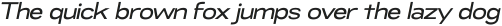 RNDI Naratama Medium Expanded Oblique ttf (500)