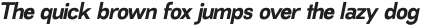 RNDI Naratama Bold Oblique ttf (700)