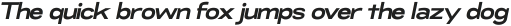 RNDI Naratama Bold Expanded Oblique ttf (700)