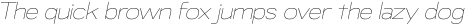 RNDI Naratama Thin Expanded Oblique ttf (100)