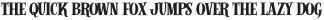 Alfons Serif Bold otf (700)