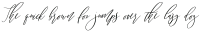 Salome Italic ttf (400)