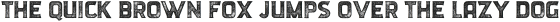 Flam Typeface Rough otf (400)