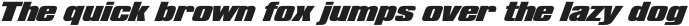 LHF Convecta Base Regular otf (400)